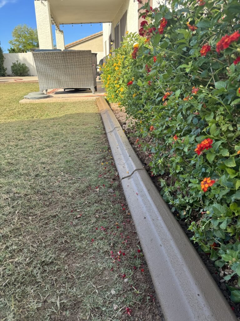 Freshly installed concrete curbing in Mesa, Arizona by All Valley Turf, creating clean borders around artificial turf and desert landscaping.