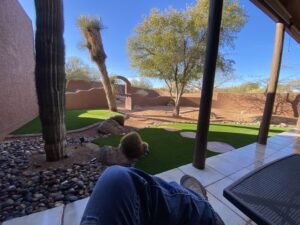 Artificial turf and paver installation on a horse property in Cave Creek featuring desert landscaping and clean hardscape design